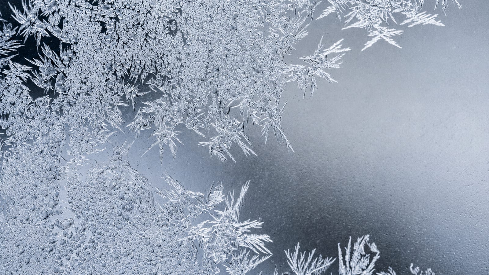 Illustration de l'article — 30 secondes de froid